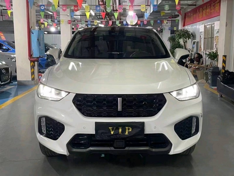 邵阳19年长城汽车WEY VV51