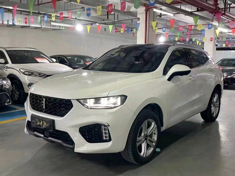 邵阳19年长城汽车WEY VV54