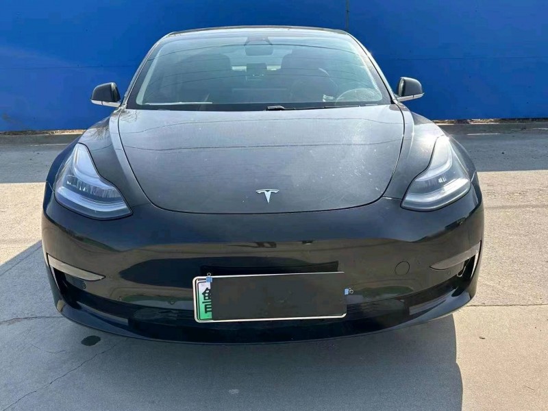 枣庄19年特斯拉MODEL 31