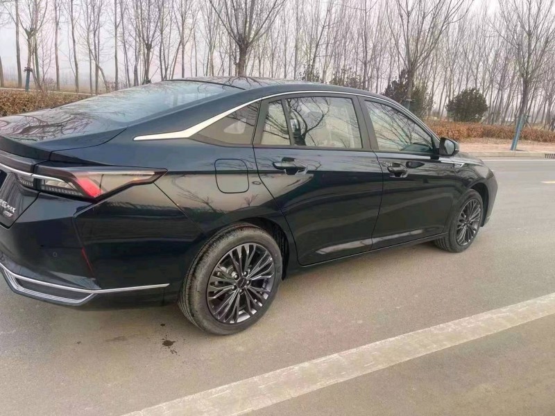 邯郸23年东风奕炫9