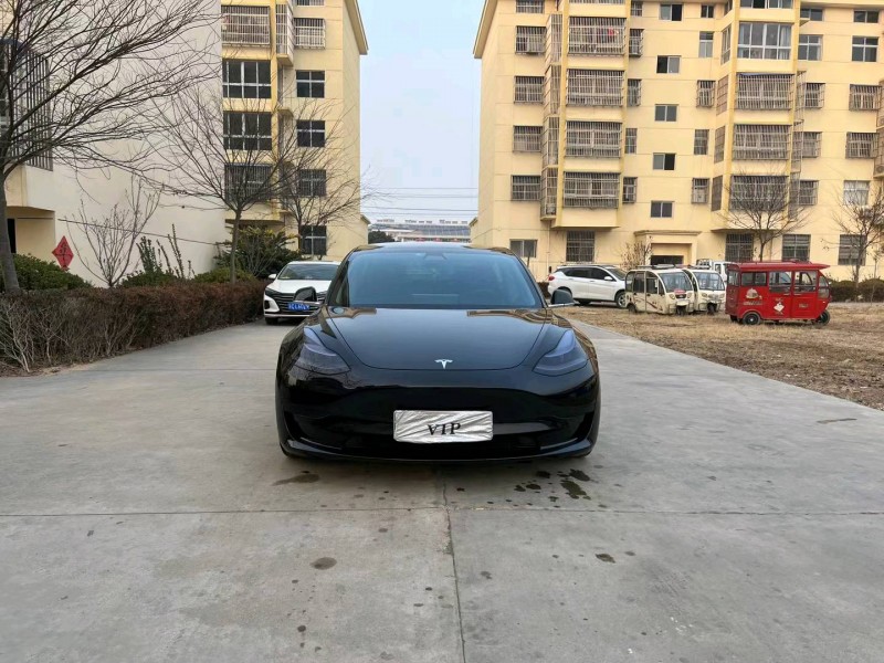 徐州20年特斯拉MODEL 31