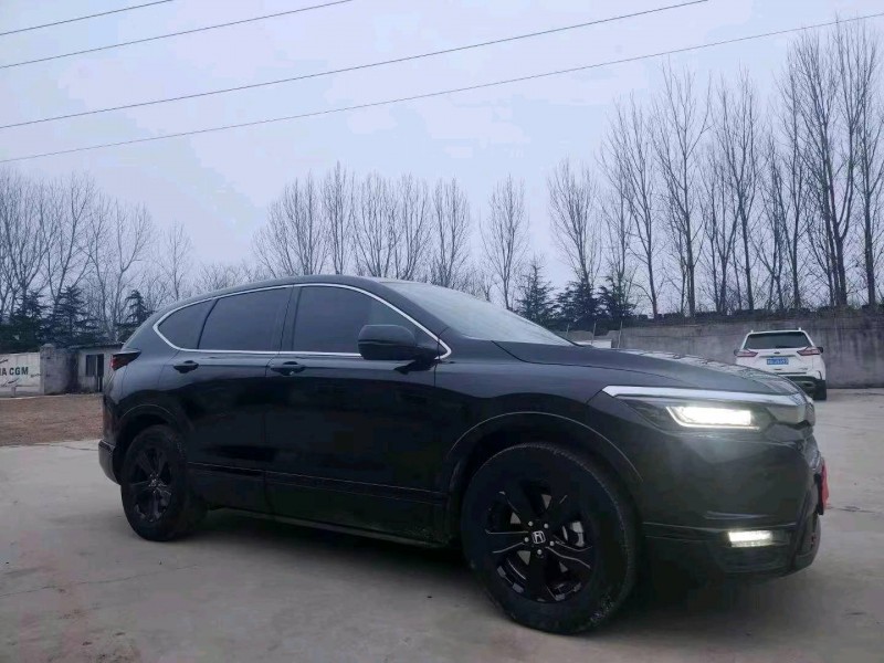 枣庄20年本田皓影6