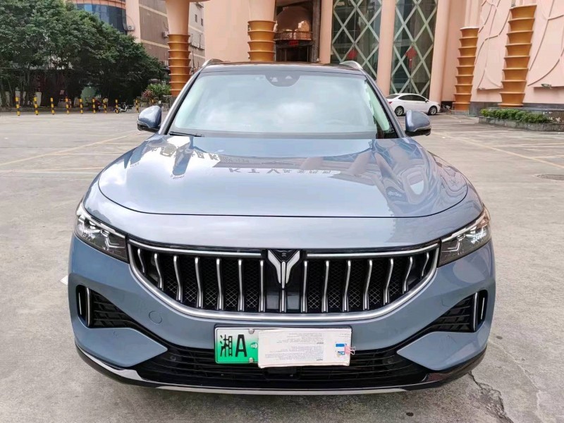 汕頭22年嵐圖汽車FREE1