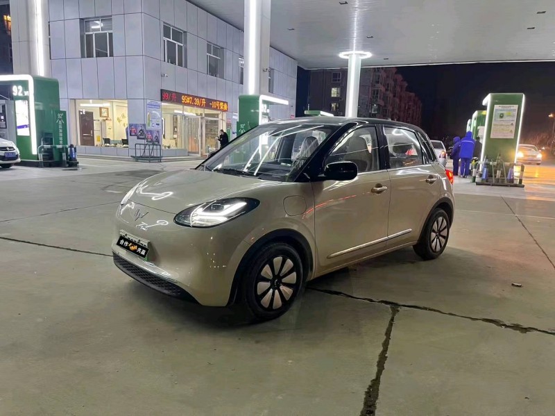 滄州23年五菱汽車繽果3