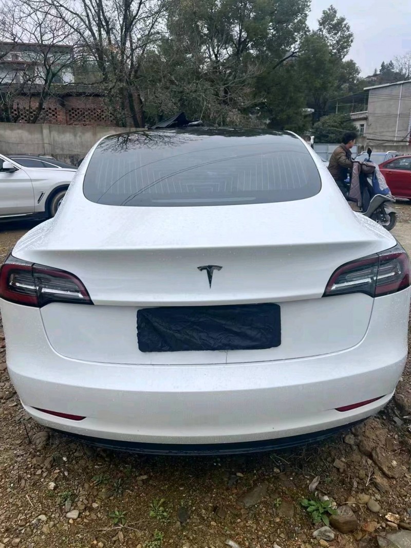 珠海19年特斯拉MODEL 33