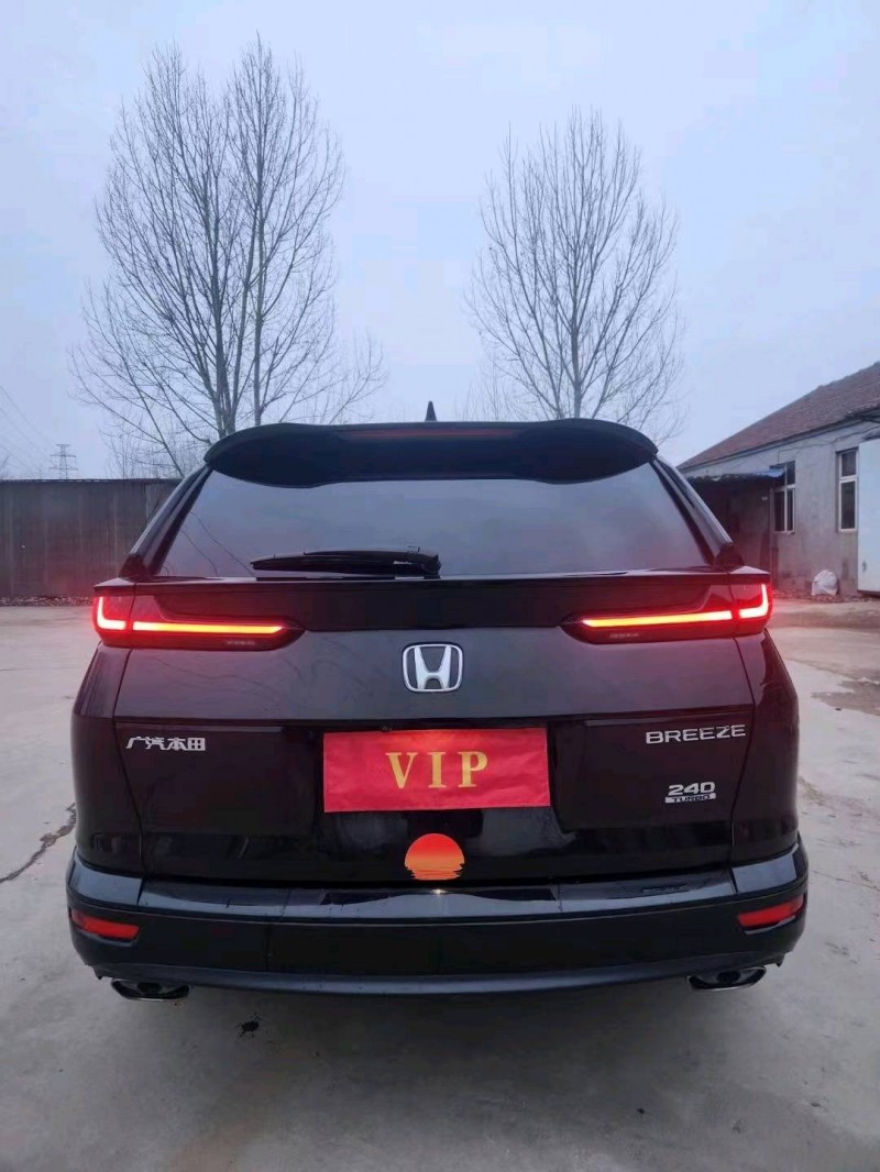 枣庄20年本田皓影6