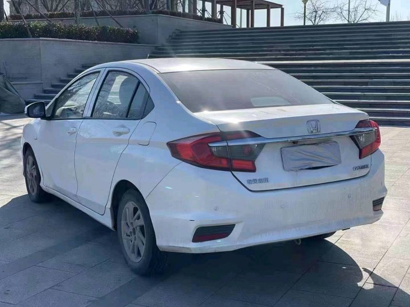 枣庄17年本田哥瑞4