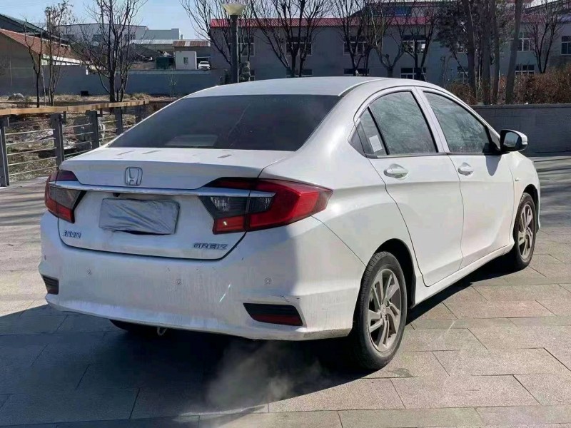 枣庄17年本田哥瑞6