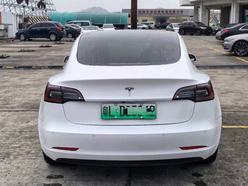 东莞20年特斯拉MODEL 39