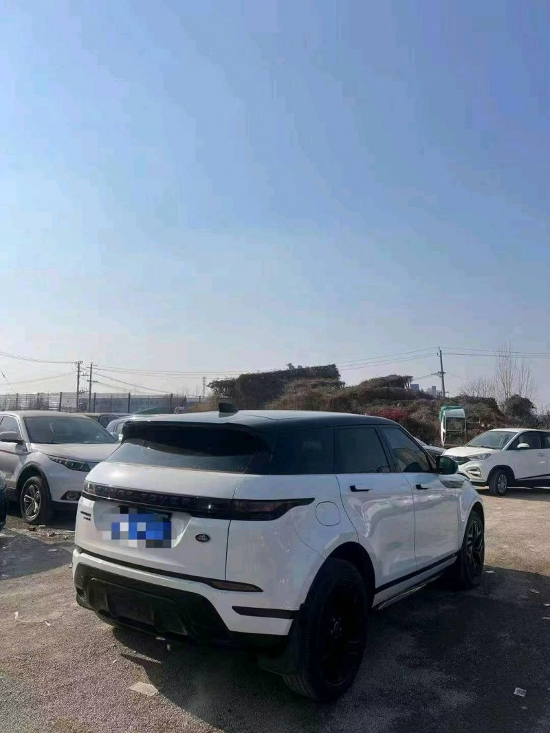 东营20年路虎极光8