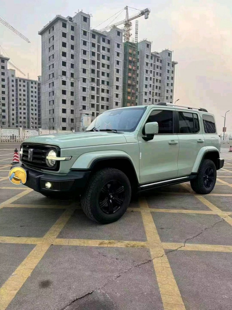 張家口22年長城汽車坦克3002