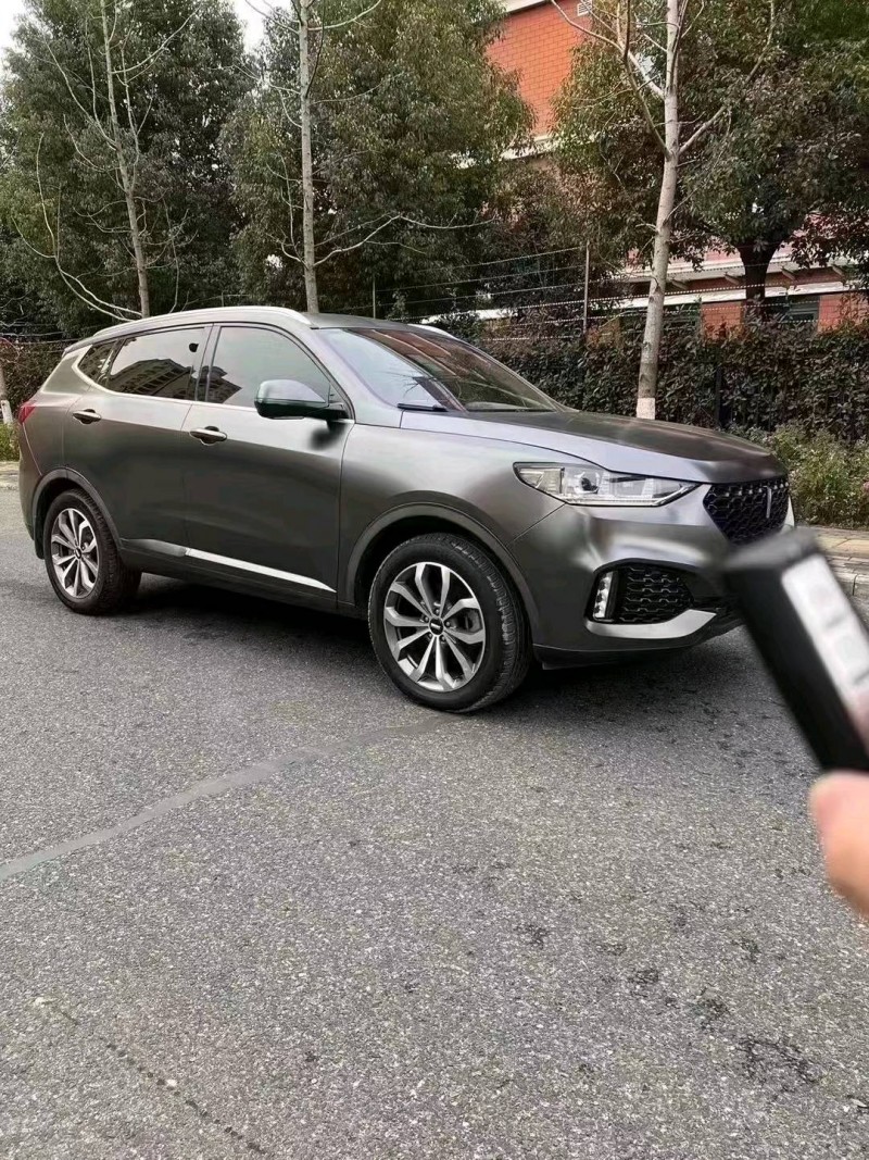 淮南19年長城汽車WEY VV62