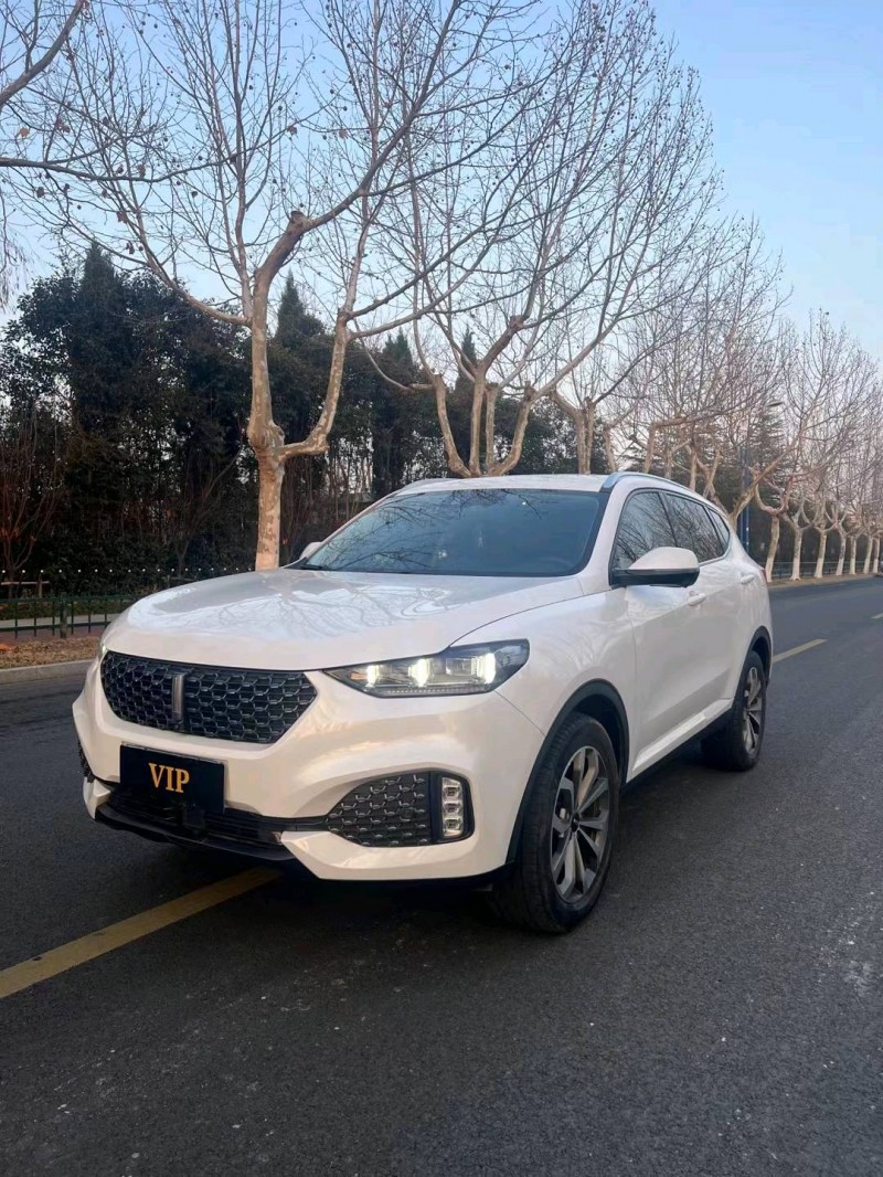 宿迁19年长城汽车WEY VV62