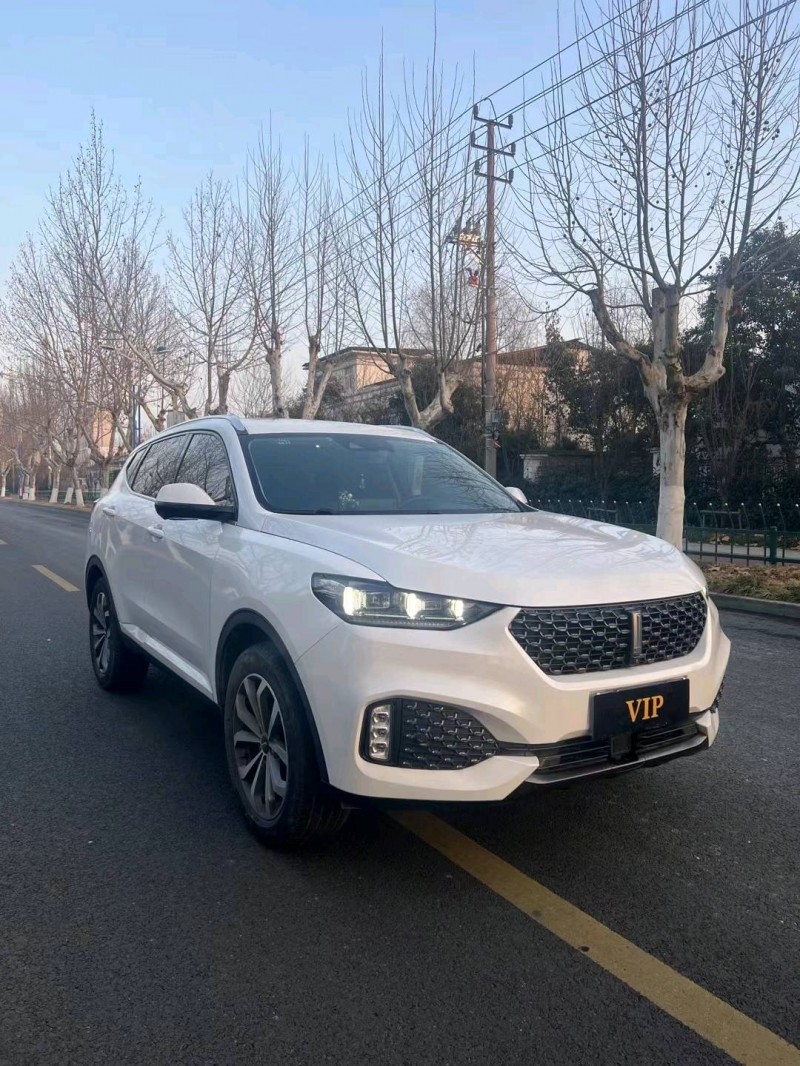 宿迁19年长城汽车WEY VV63