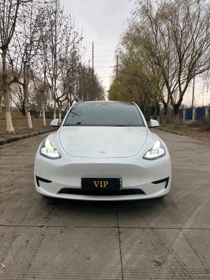 宿遷22年特斯拉MODEL Y1