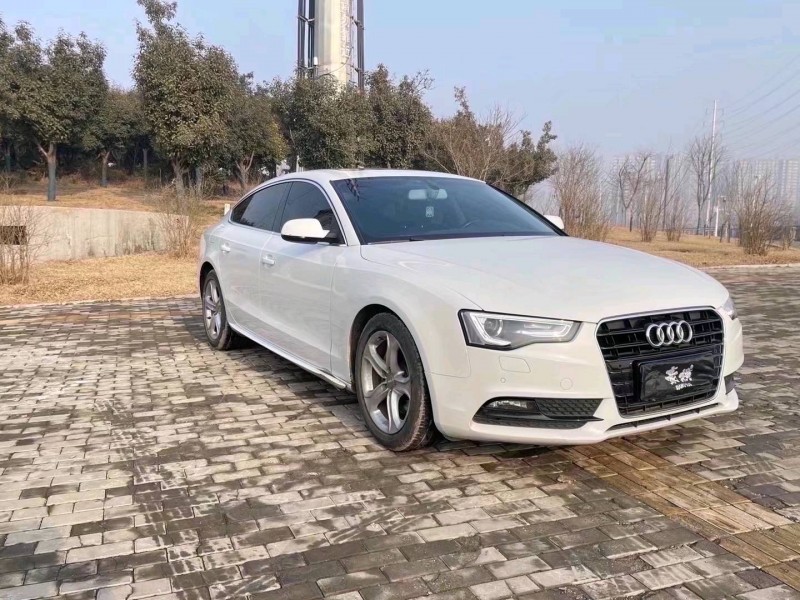 平頂山16年奧迪A53