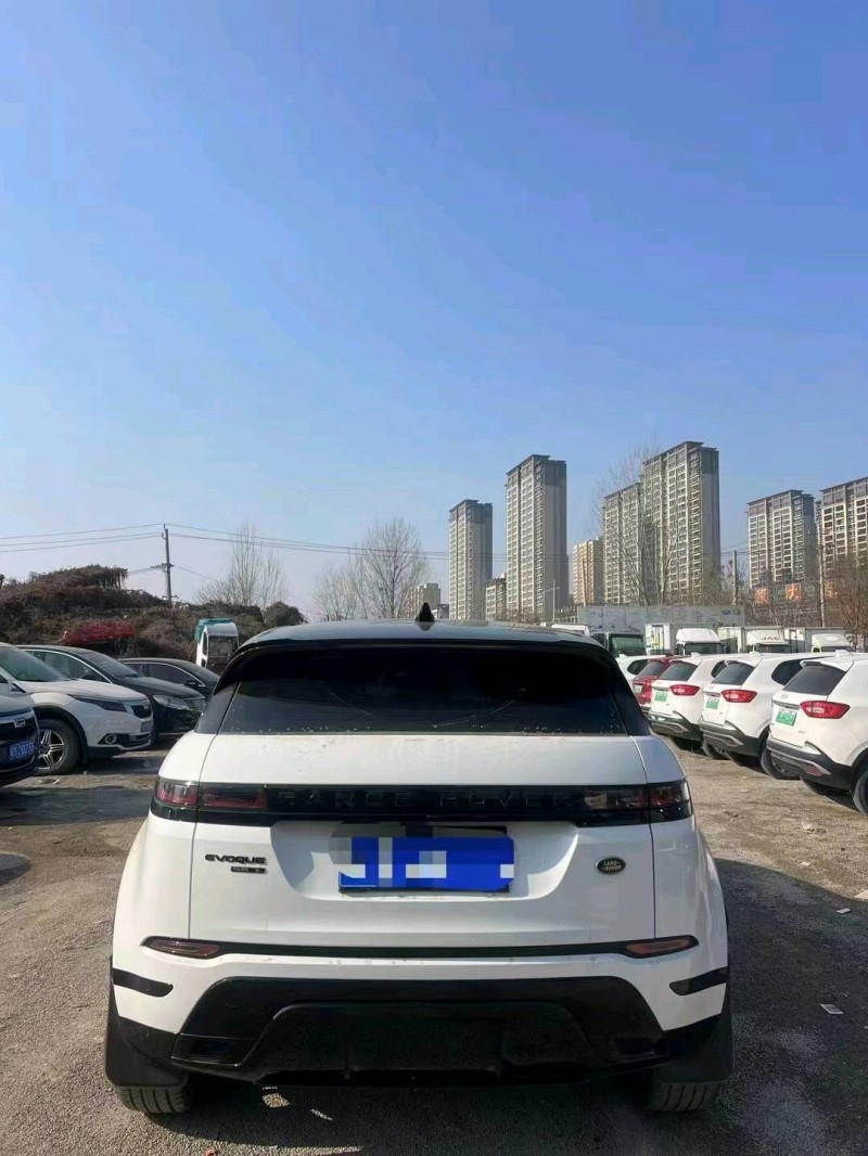 东营20年路虎极光5