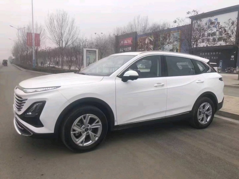 邯郸24年奔腾T902