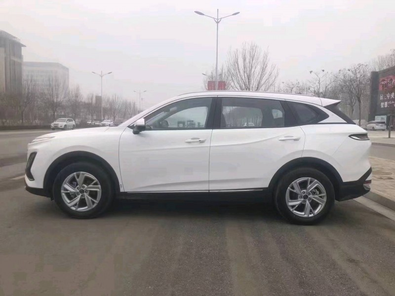 邯郸24年奔腾T903