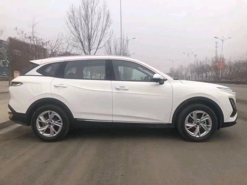 邯郸24年奔腾T908