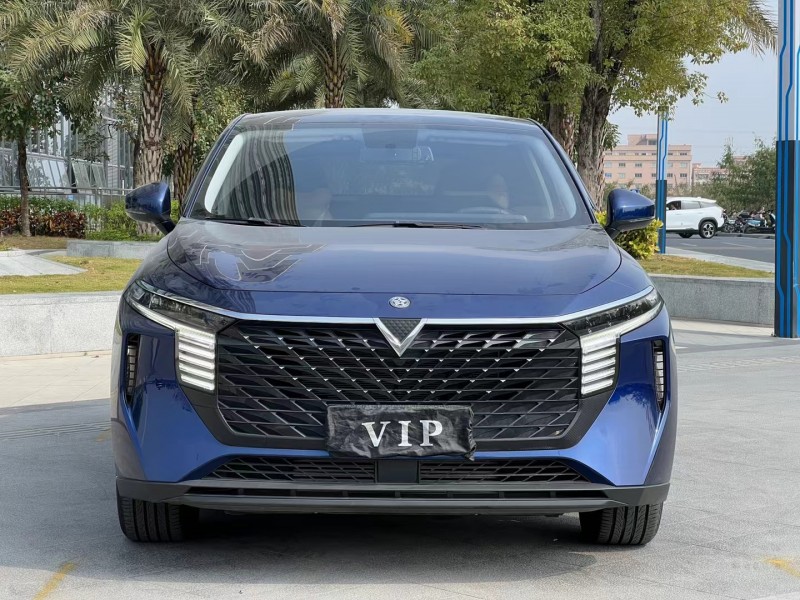 東莞22年啟辰大V1