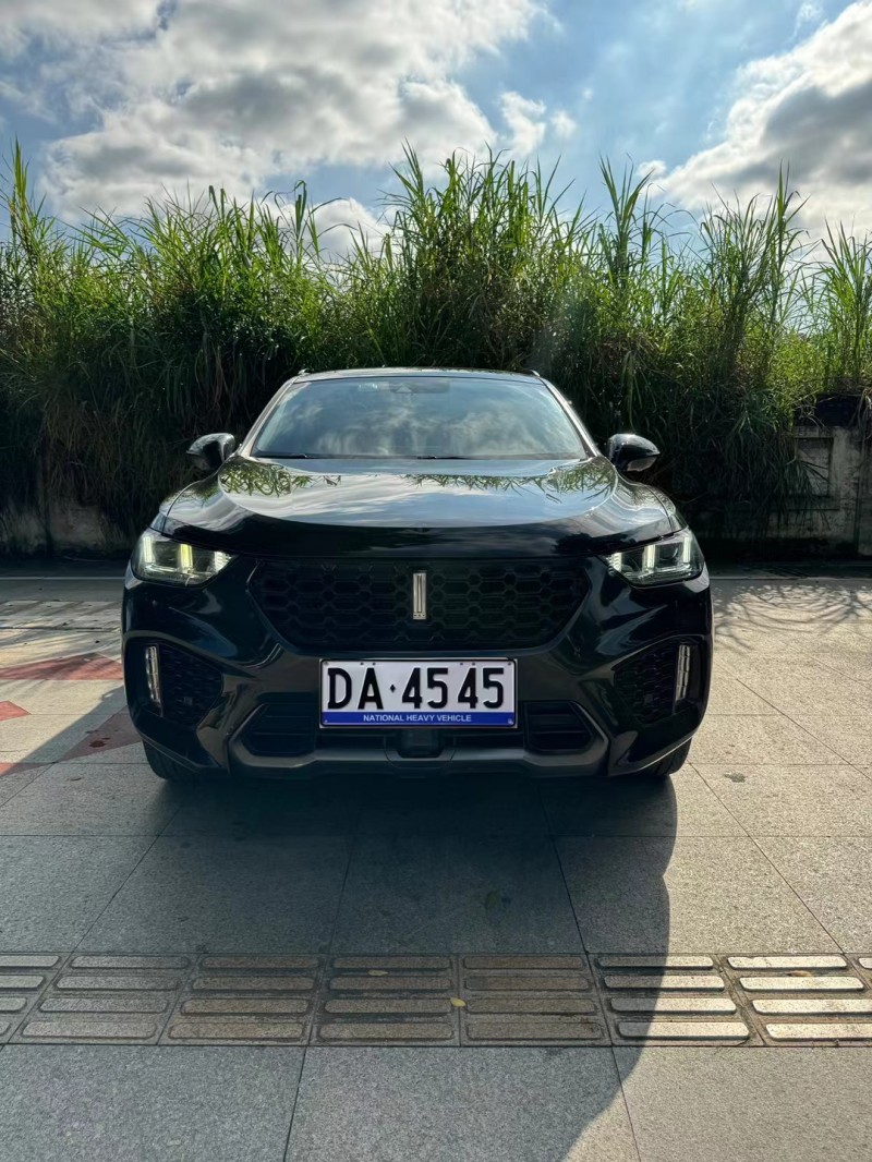 东莞18年长城汽车WEY VV51