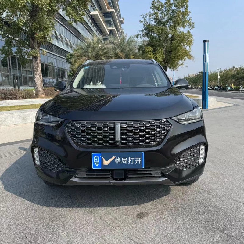 东莞20年长城汽车WEY VV61