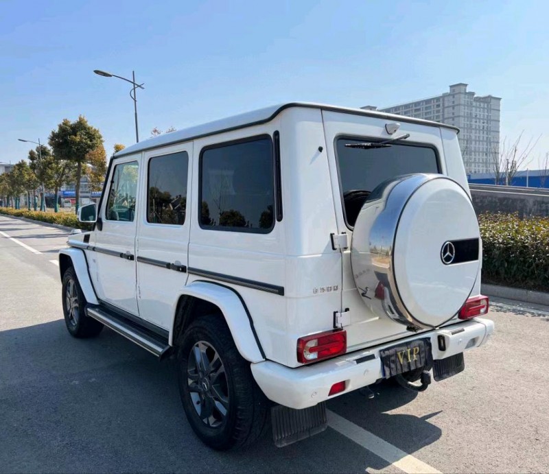 盐城16年奔驰G9