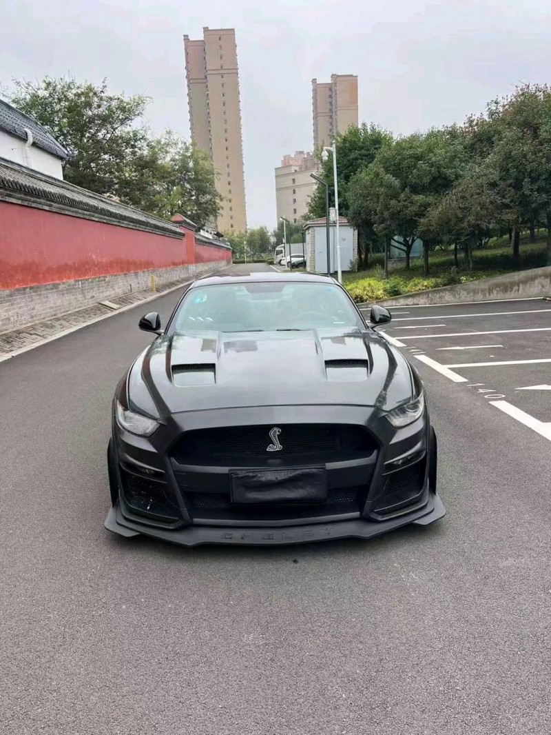 济宁16年福特野马1