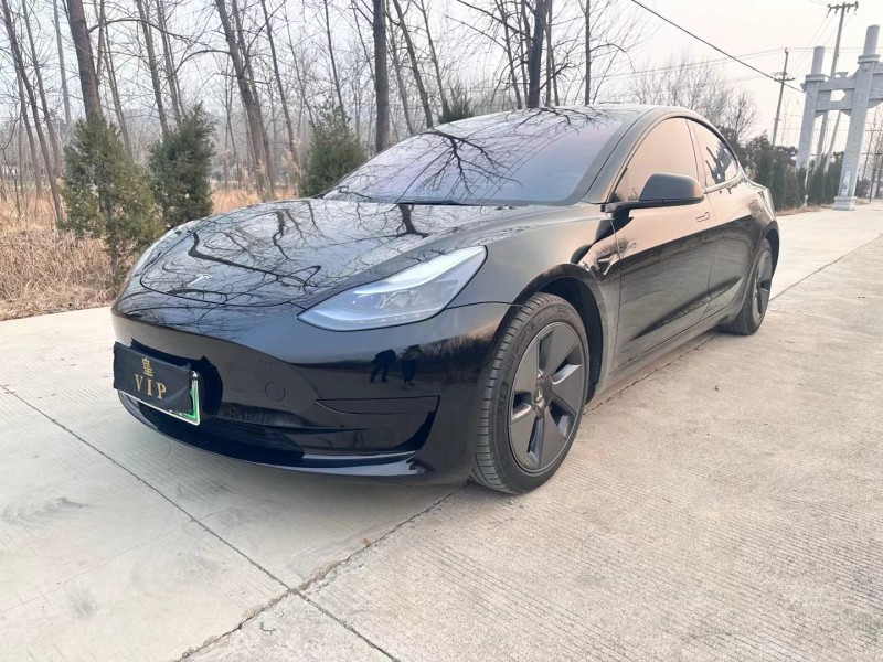 徐州21年特斯拉MODEL 33