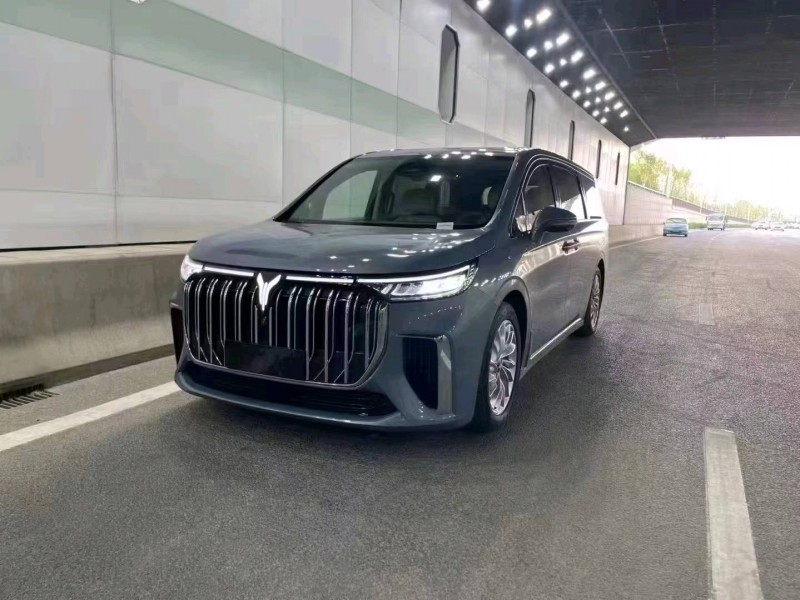 棗莊23年嵐圖汽車夢想家1