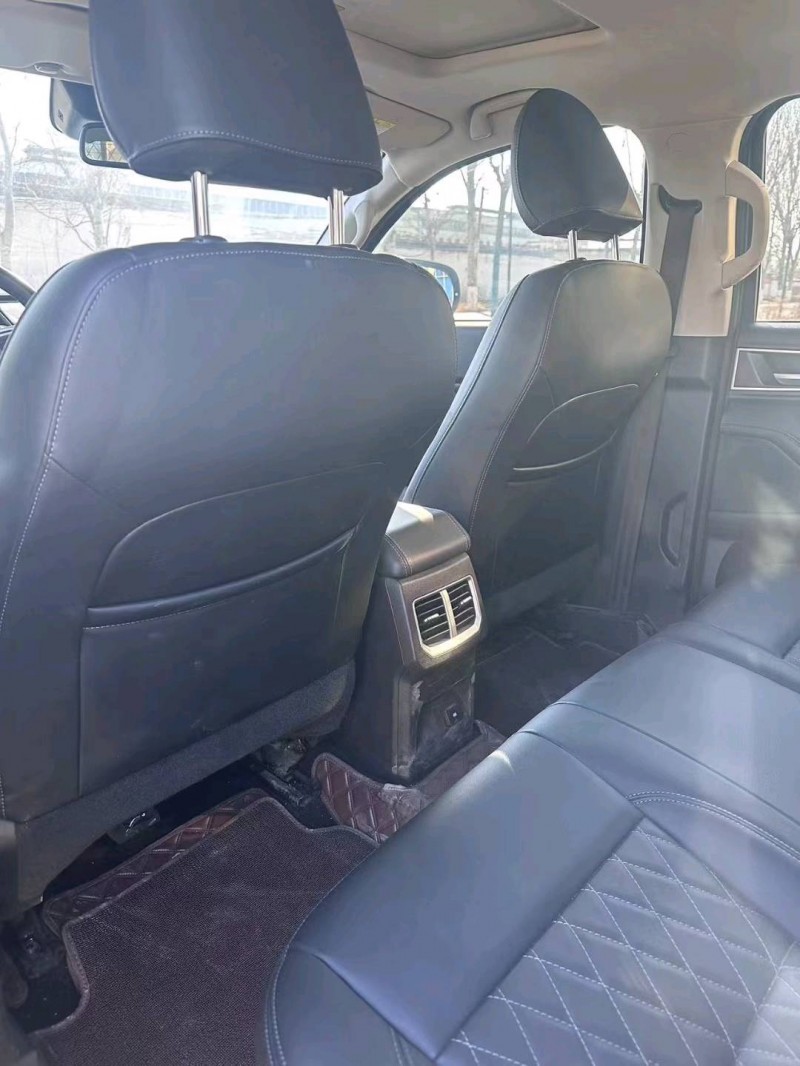 保定21年长城汽车炮 皮卡6