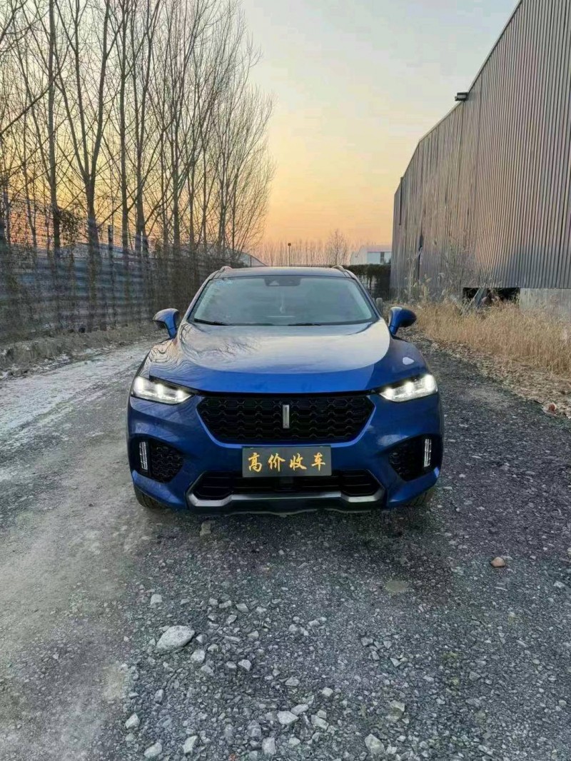 枣庄18年长城汽车WEY VV71