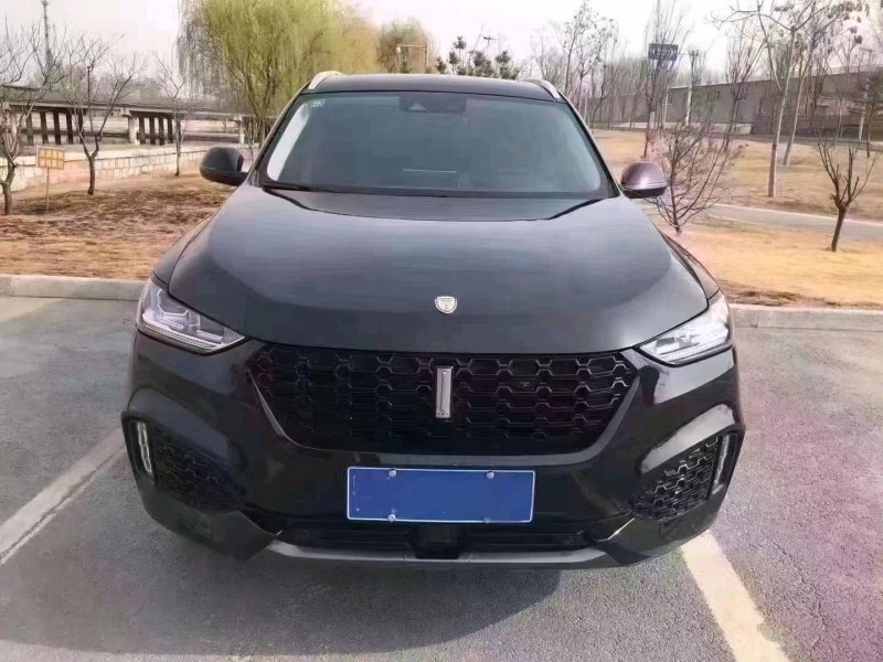 枣庄19年长城汽车WEY VV61