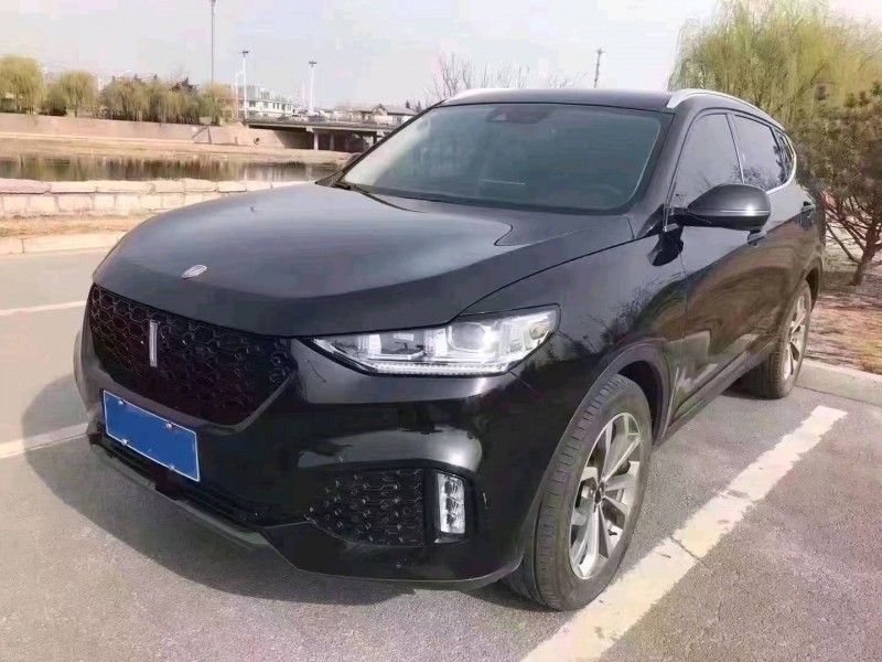 枣庄19年长城汽车WEY VV67