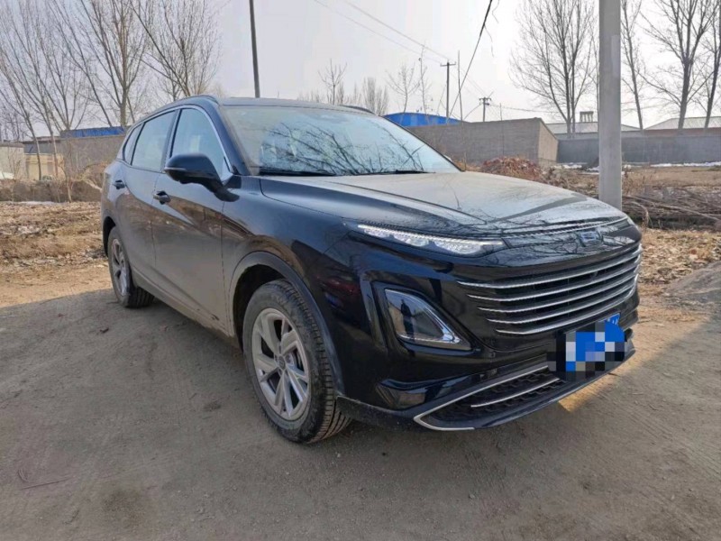 邯郸23年奔腾T902