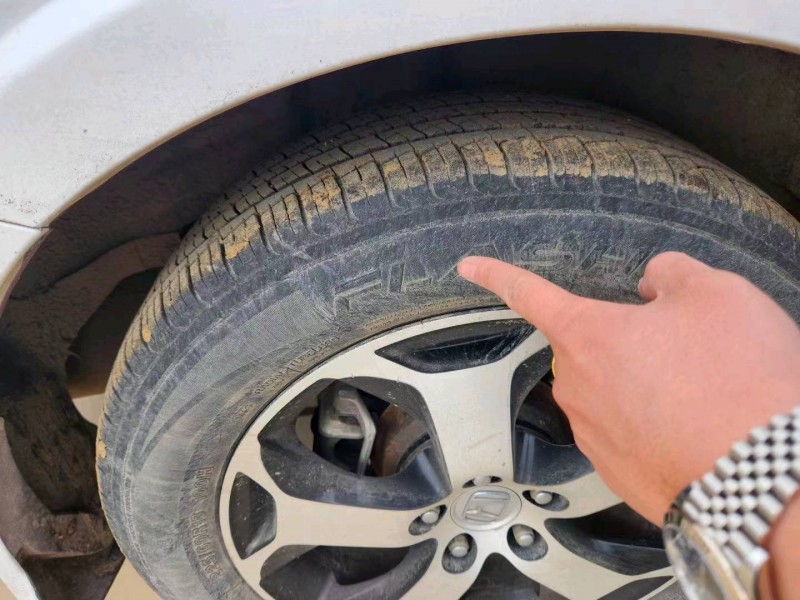 枣庄14年本田歌诗图5