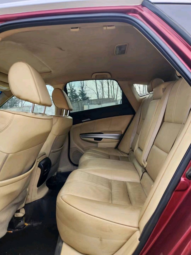 枣庄14年本田歌诗图8