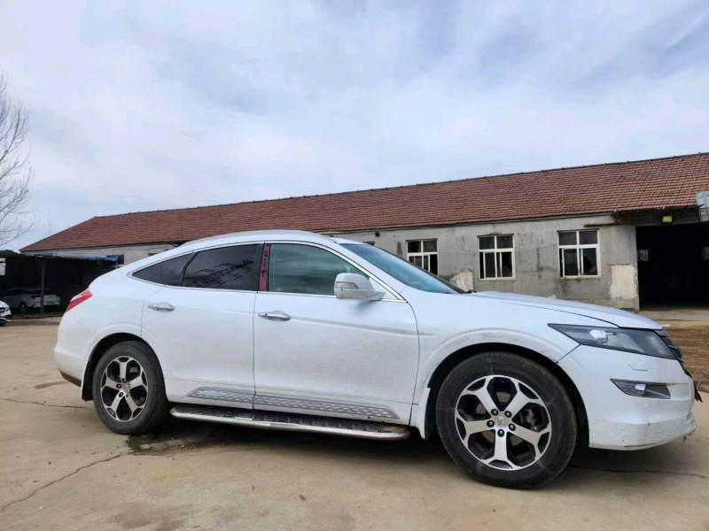 枣庄14年本田歌诗图9