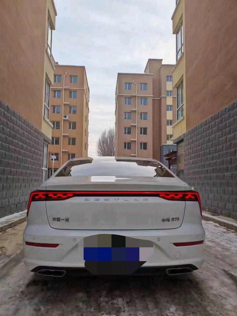 邯郸23年奔腾B704