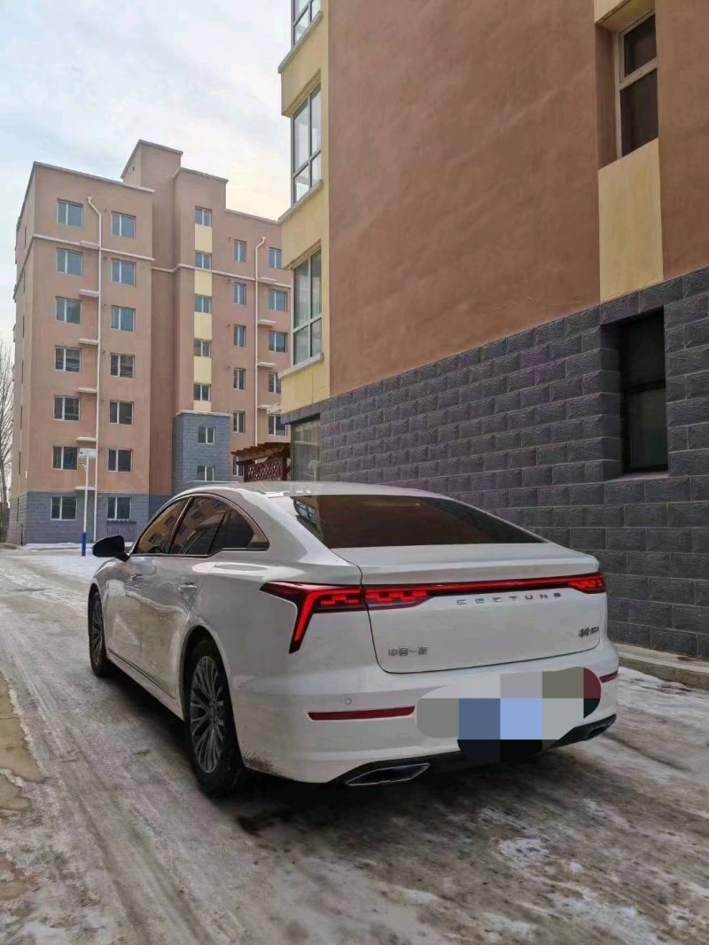 邯郸23年奔腾B705