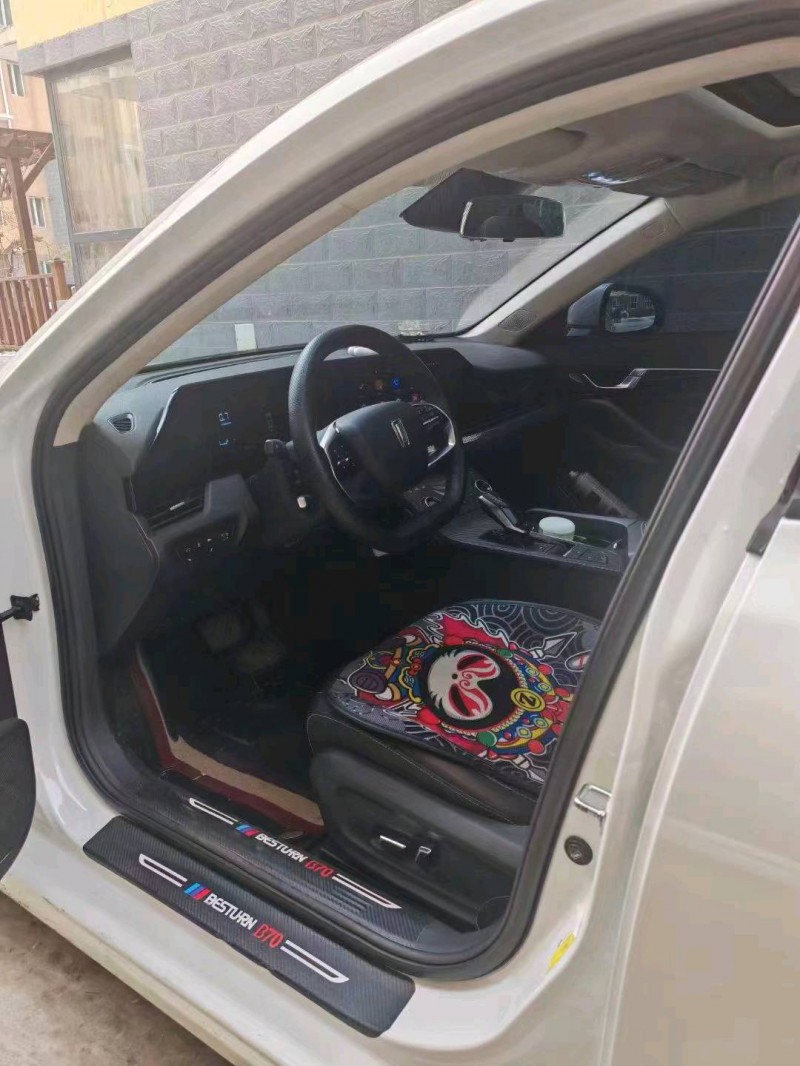 邯郸23年奔腾B709