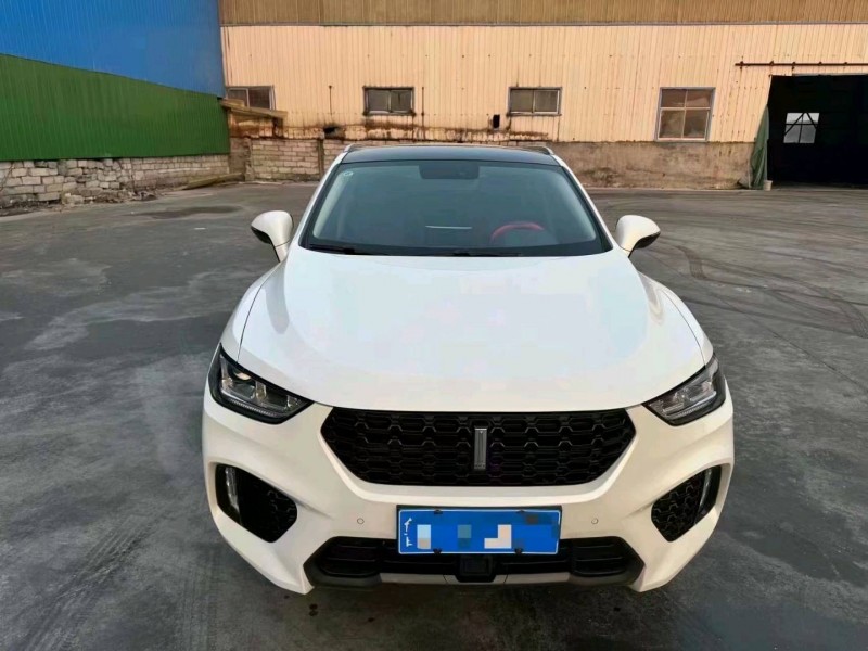 东营19年长城汽车WEY VV51