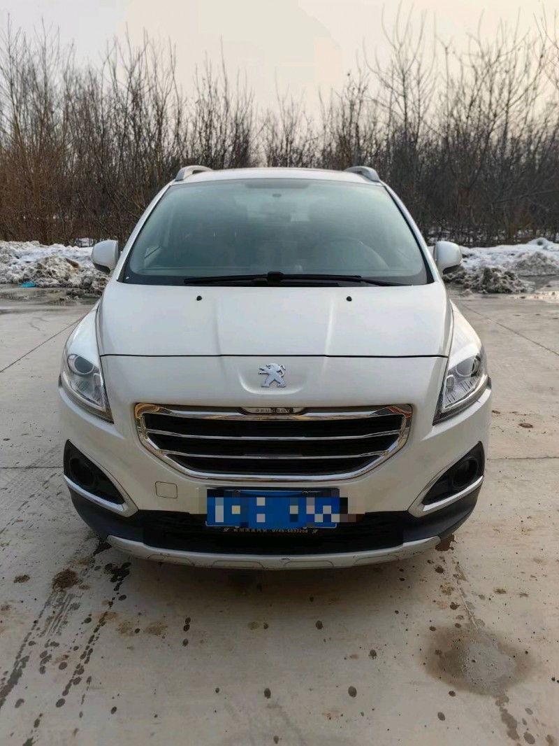 保定14年标致30081