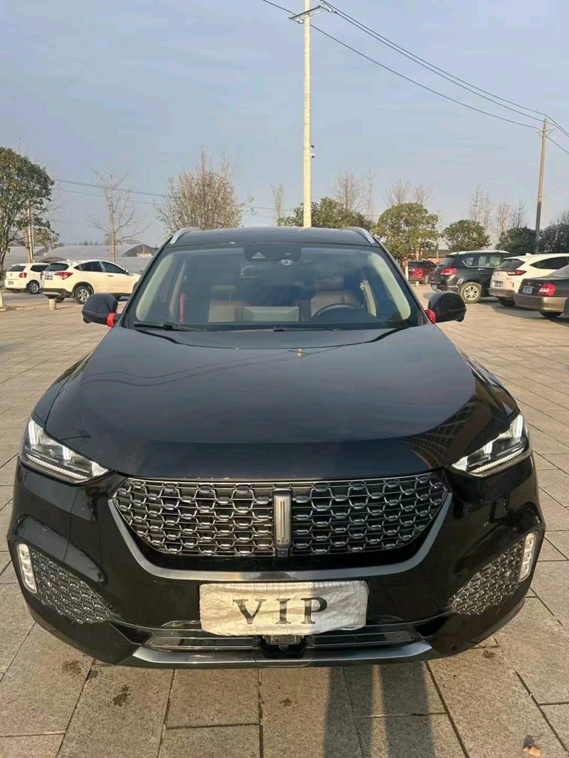 汕头19年长城汽车WEY VV61