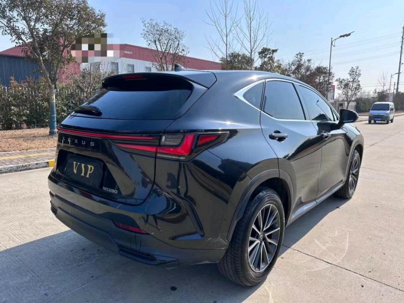 盐城22年雷克萨斯NX7