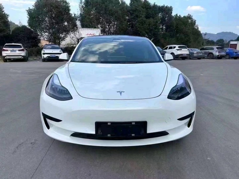 汕頭22年特斯拉MODEL 31