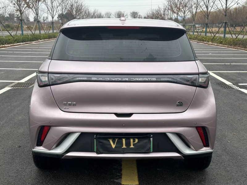 徐州22年比亚迪海豚9