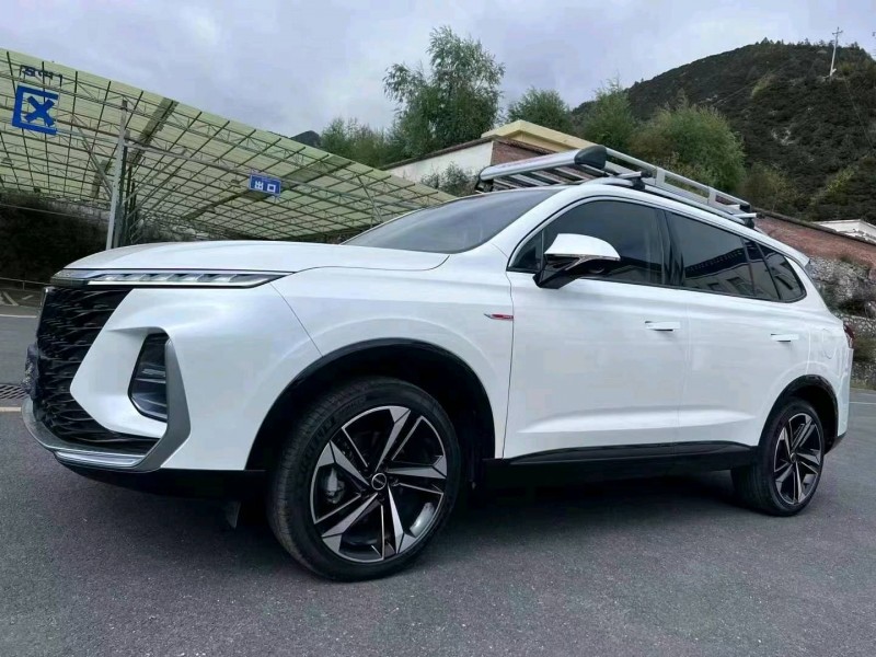 甘孜22年榮威RX53