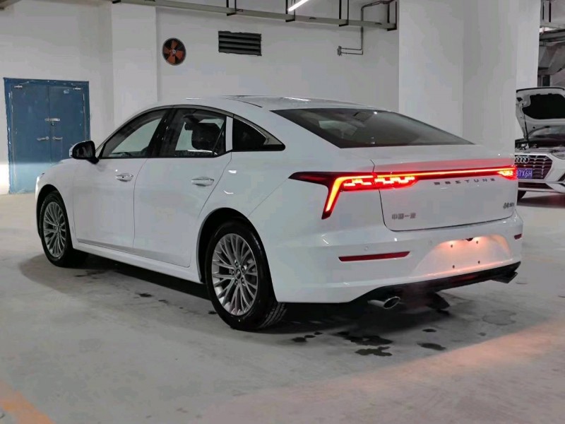 湖州23年奔騰B709